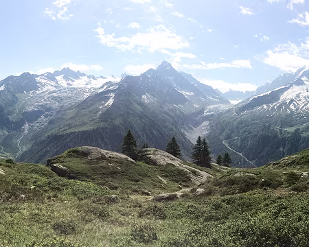 20190706-10h45m15s-IMG_5326-V3