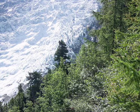 20190707-10h10m22s-DSC00870-V3 Glacier des Bossons