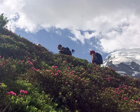 20190707-10h57m24s-IMG_5348-V3