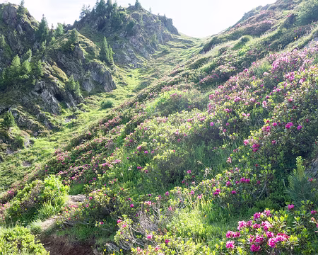 20190707-11h01m12s-DSC00915-V3