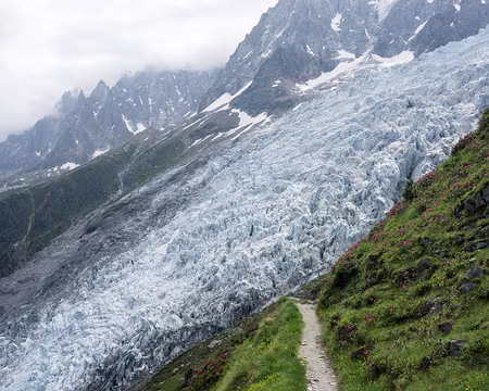 20190707-11h08m39s-DSC00919-V3