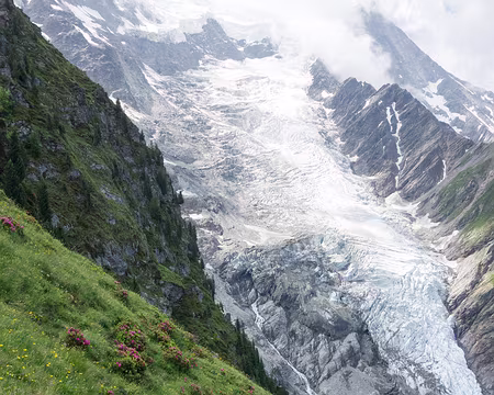 20190707-11h08m58s-DSC00925-V3