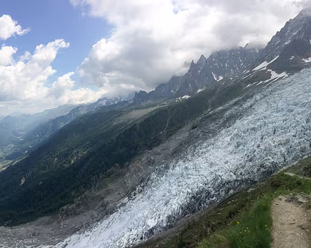 20190707-11h09m19s-IMG_5350-V3