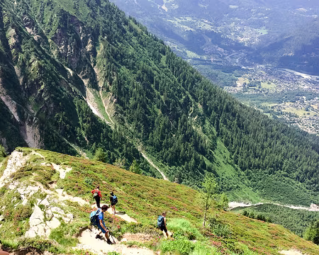 20190707-14h00m33s-IMG_5363-V3