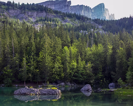 008-IMG_3731 Lac vert