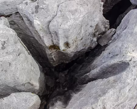 064-IMG_3810 A travers les lapiaz