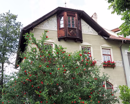 20190713-13h15m46s-P7131310-V3 Brixen