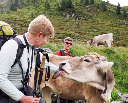 20190715-05h04m40s-P7151749-V3