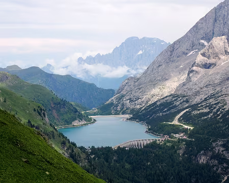 20190718-16h11m38s-IMG_4556-V3