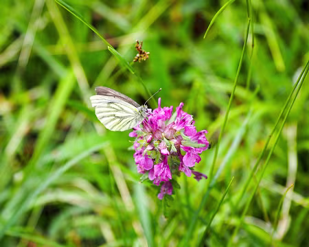 20190719-09h53m20s-P7192749-V3