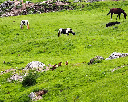 20190719-11h47m12s-P7192813-V3