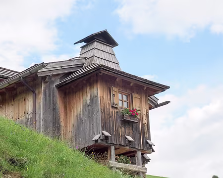 20190719-13h07m54s-P7192848-V3