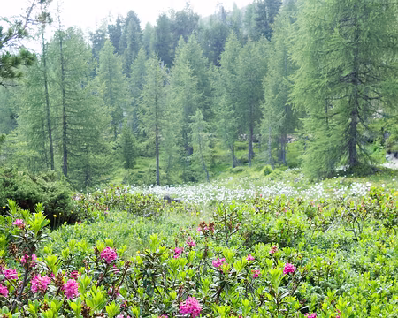 20190720-09h30m48s-DSC01236-V3