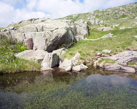 20190720-10h14m52s-DSC01237-V3