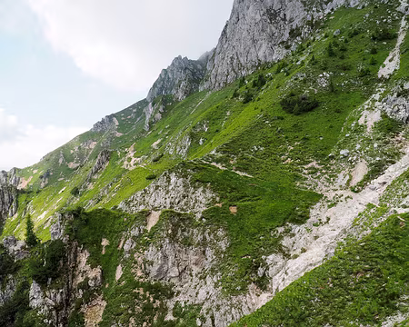 20190723-07h23m14s-P7230703-V3