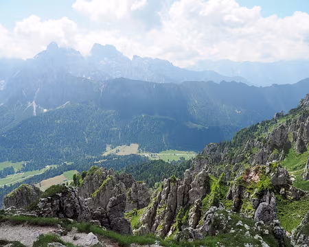 20190723-08h07m44s-P7230716-V3