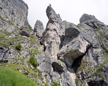 20190723-10h52m31s-DSC01371-V3