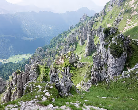 20190723-12h08m15s-DSC01377-V3