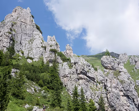 20190723-12h32m14s-DSC01383-V3