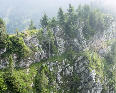 20190725-09h14m44s-DSC01420-V3