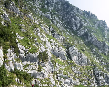 20190725-09h31m17s-DSC01430-V3