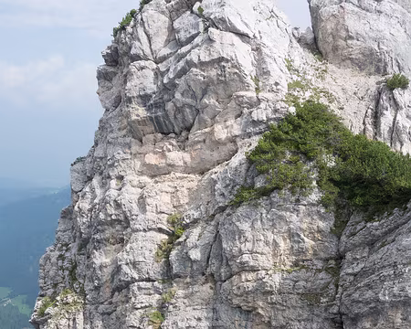 20190725-10h10m01s-DSC01436-V3