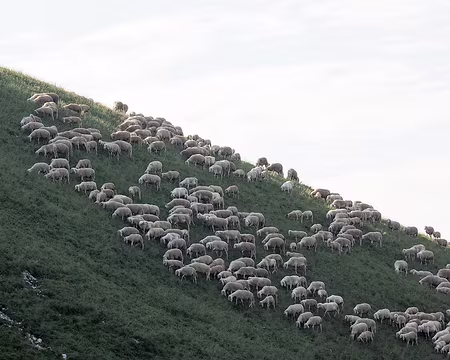 20190726-04h28m52s-P7261422-V3