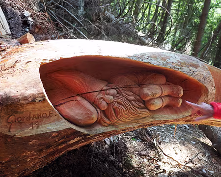 20190726-06h11m22s-P7261461-V3