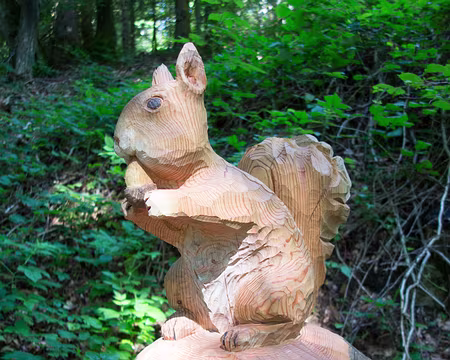 20190726-06h11m23s-P7261461-V3