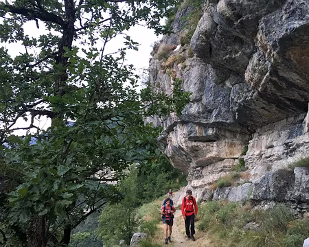 20190802-06h27m41s-IMG_5017-V3