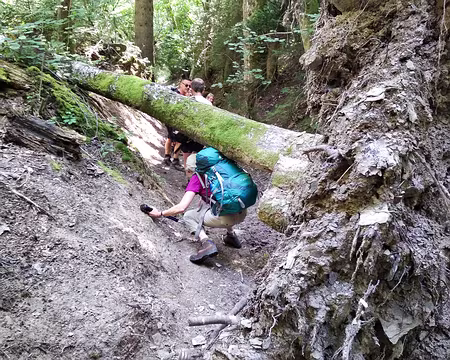 20190802-16h52m35s-IMG_20190802_165235-V3