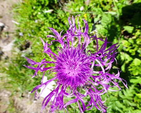 20190804-11h51m25s-P1100318-V3