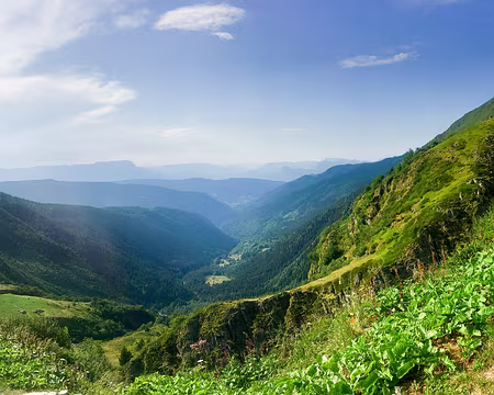 20190805-18h02m14s-IMG_5060-V3