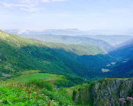 20190806-08h47m07s-IMG_5071-V3