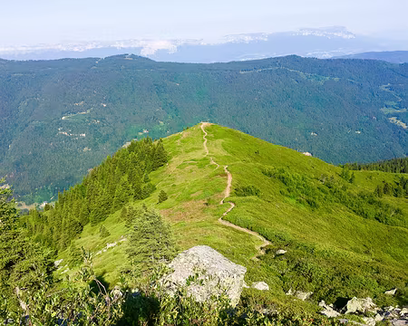 20190806-10h08m50s-IMG_5073-V3