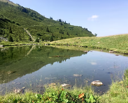 20190806-10h48m12s-IMG_5076-V3