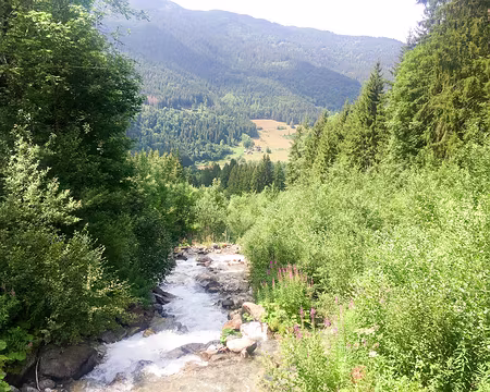 20190806-14h59m36s-IMG_5083-V3