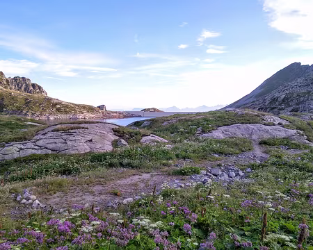 20190808-07h46m10s-IMG_20190808_074610-V3