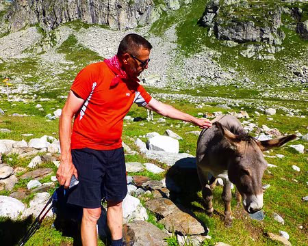 20190808-10h23m04s-P1100452-V3