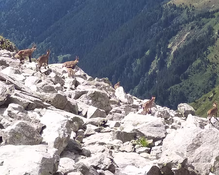 20190808-12h42m51s-IMG_20190808_124252-V3