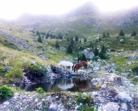 20190809-08h25m43s-IMG_5127-V3