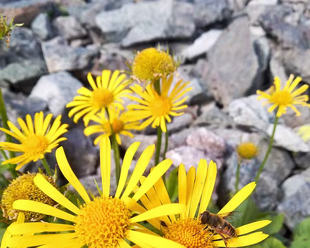 20190809-12h23m36s-IMG_20190809_122336-V3