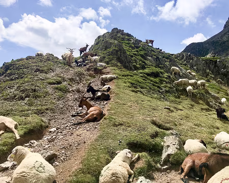 20190810-14h40m29s-IMG_5158-V3