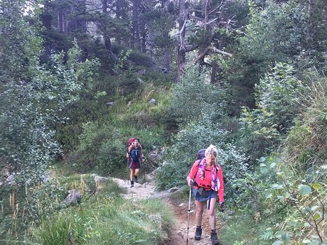 Daniel Daniel J, détail sortie