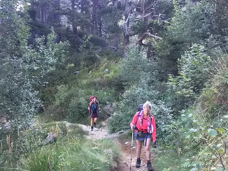 Daniel Daniel J, détail sortie