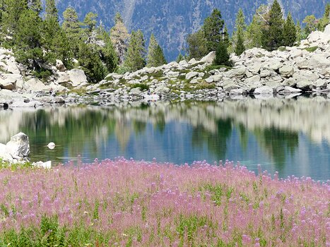 Niveau moyen+ Hélène B, Danielle H, Isabelle T, Pascale L, Christian D, détail sortie
