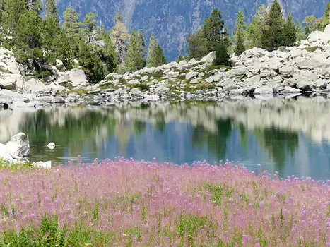 Niveau moyen+ Hélène B, Danielle H, Isabelle T, Pascale L, Christian D, détail sortie