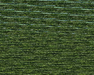 2019_09_15-12_33_43 Pique-nique des deux groupes au bord du lac.