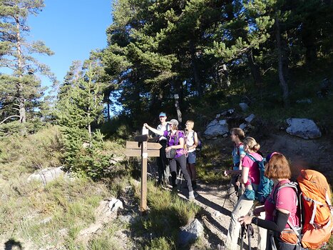 Christian Christian D, détail sortie