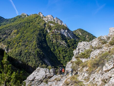 Florence Florence LP, détail sortie